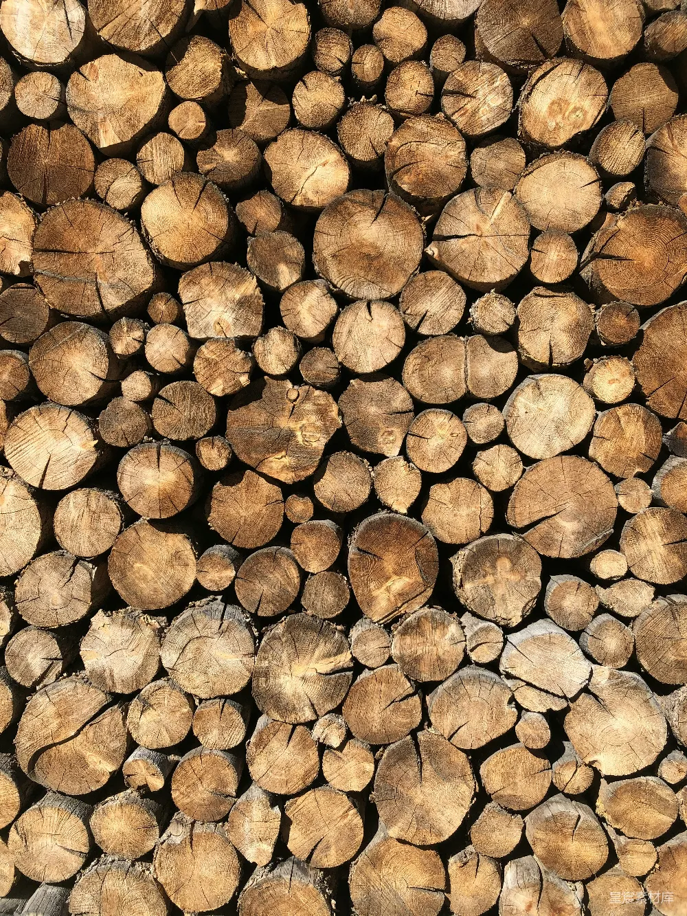 高清摄影  一堆切割好的原木堆叠在一起。