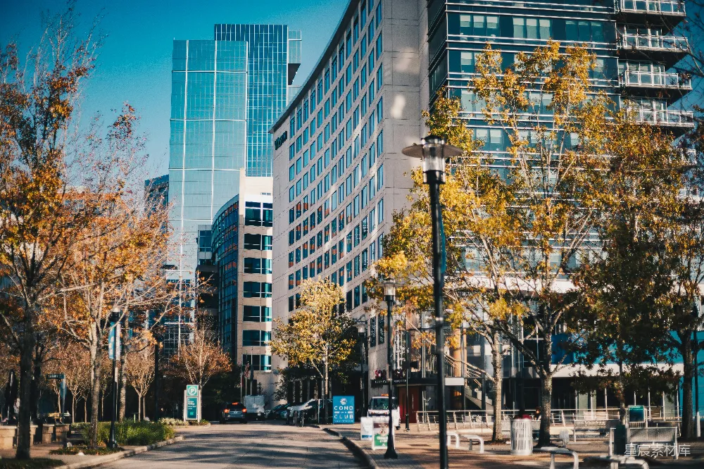 高清摄影  一条两旁是高楼和树木的城市街道