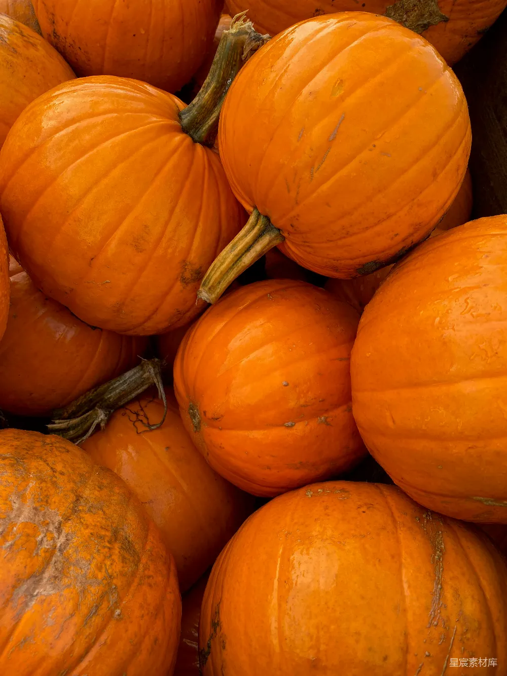 一堆堆叠在一起的橙色南瓜