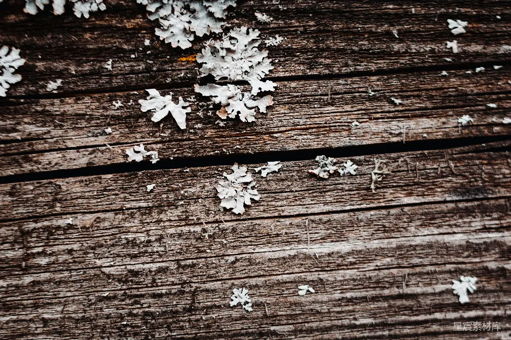 高清摄影  雪花散落在木制表面上。
