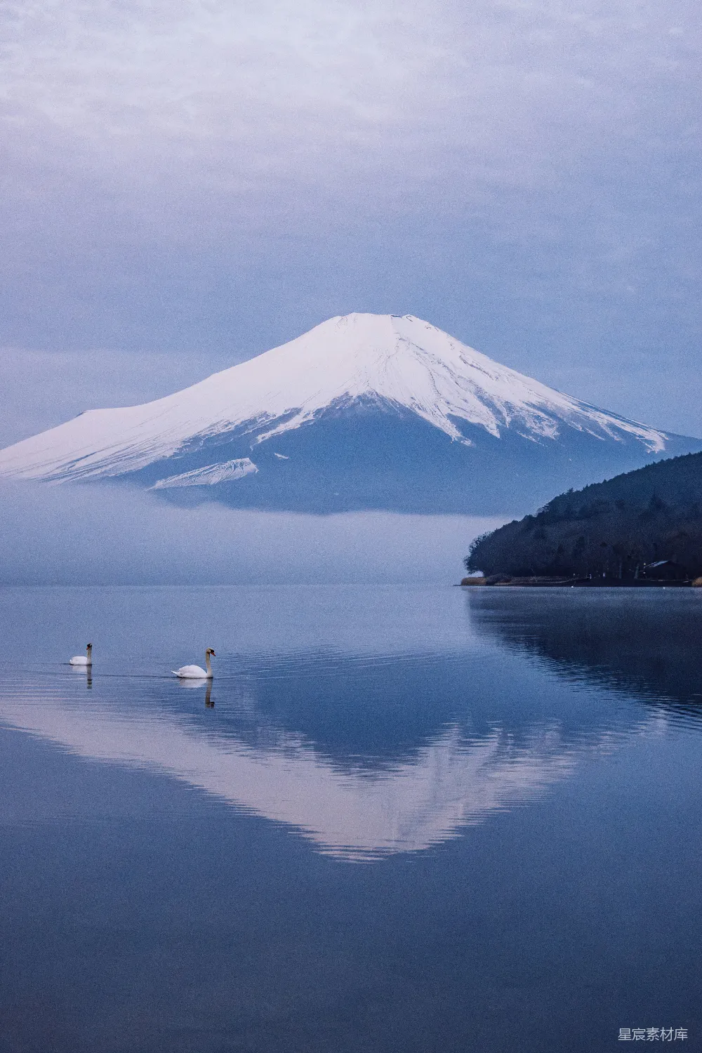 富士山和湖面平静倒映的天鹅。