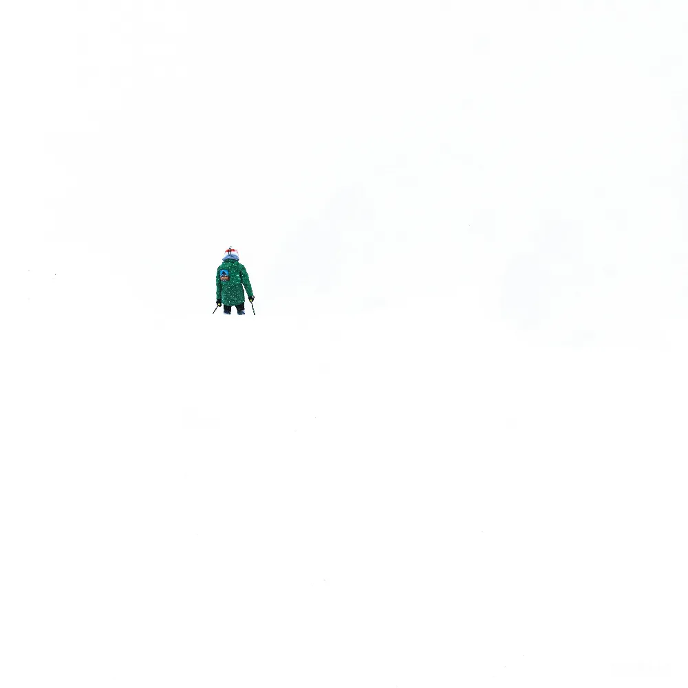 穿着绿色外套的人在一片雪景中行走