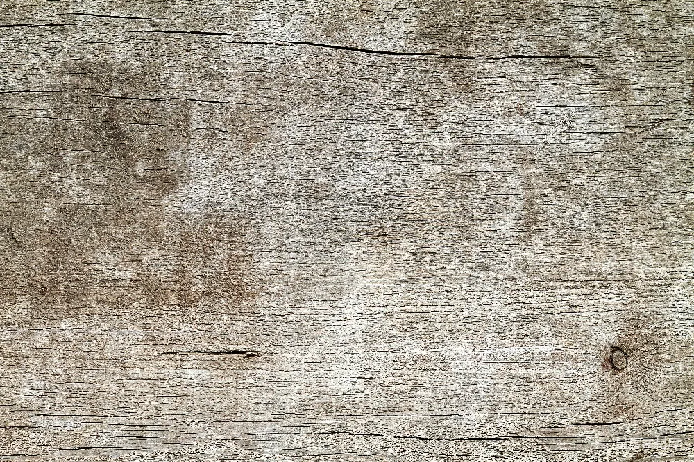 高清摄影  一块被染成白色的木头