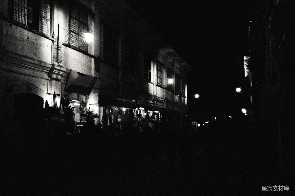 一幅黑白夜景建筑照片