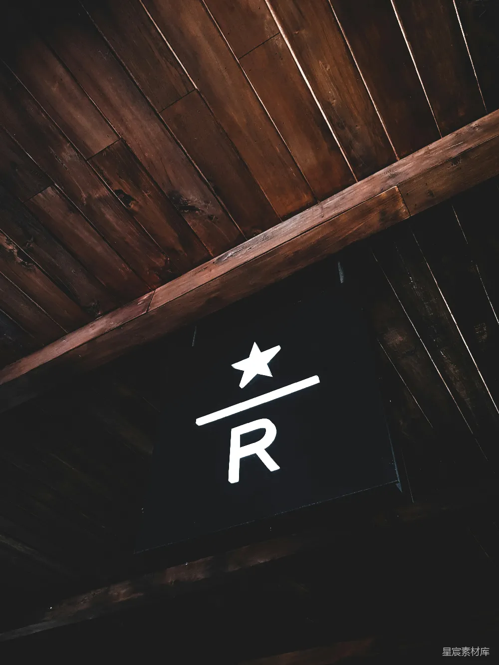字母R带星徽