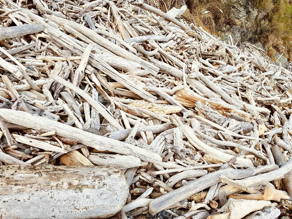 高清摄影 自然 海滩上的一堆风化的漂流木。