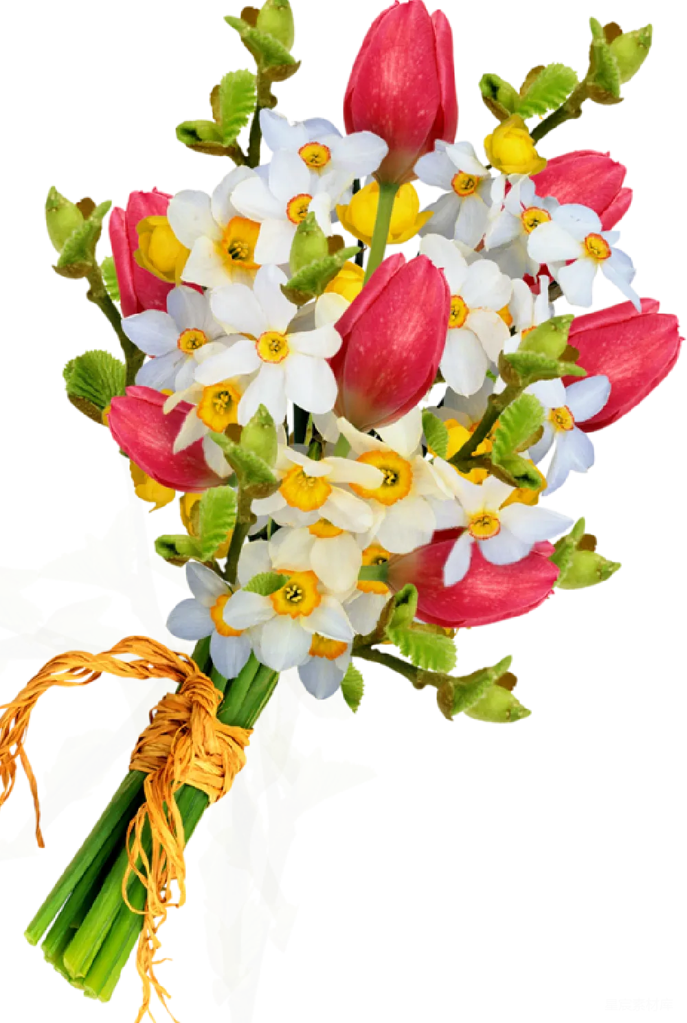 元素素材 花束 春季 装饰 郁金香与水仙花的花束