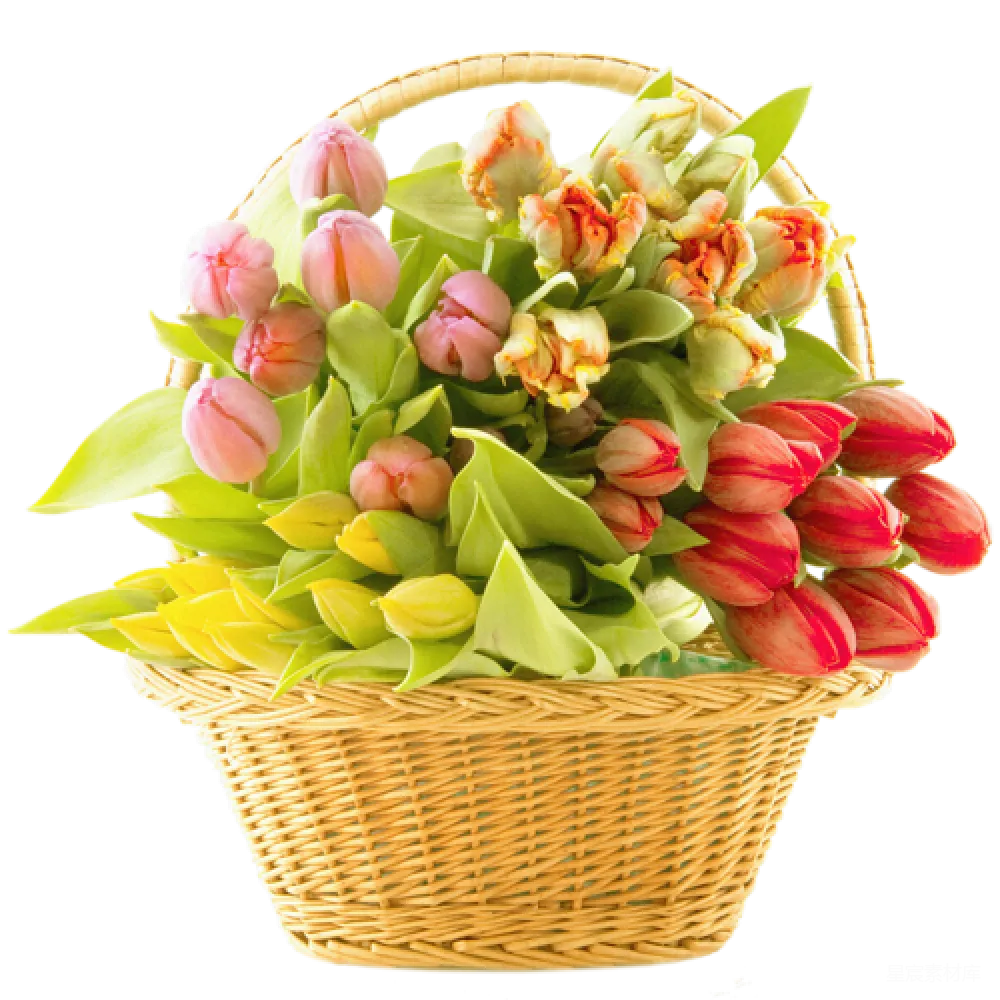 元素素材 元素 花束