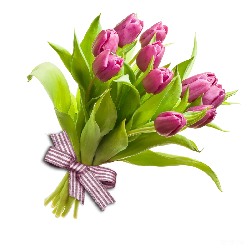 元素素材 元素 花束