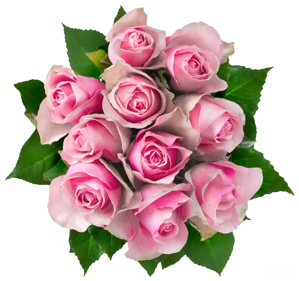 元素素材 元素 花束