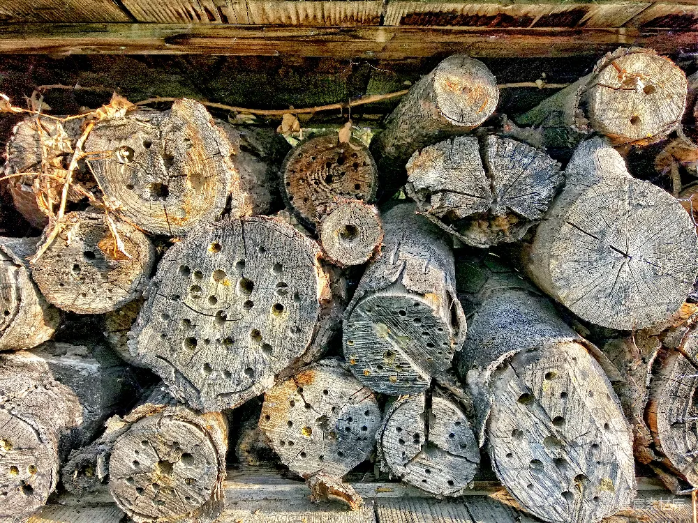 高清摄影  一组带有图案的圆形物体