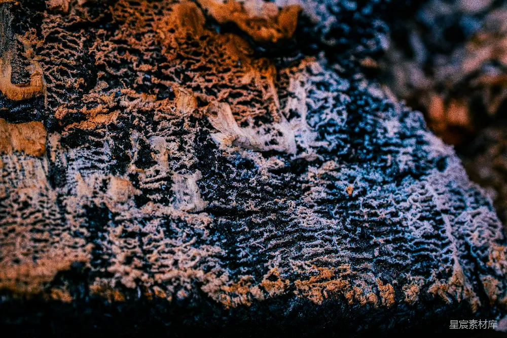 高清摄影 壁纸 实验性 旅行 自然 岩石的特写，上面有一些泥土。