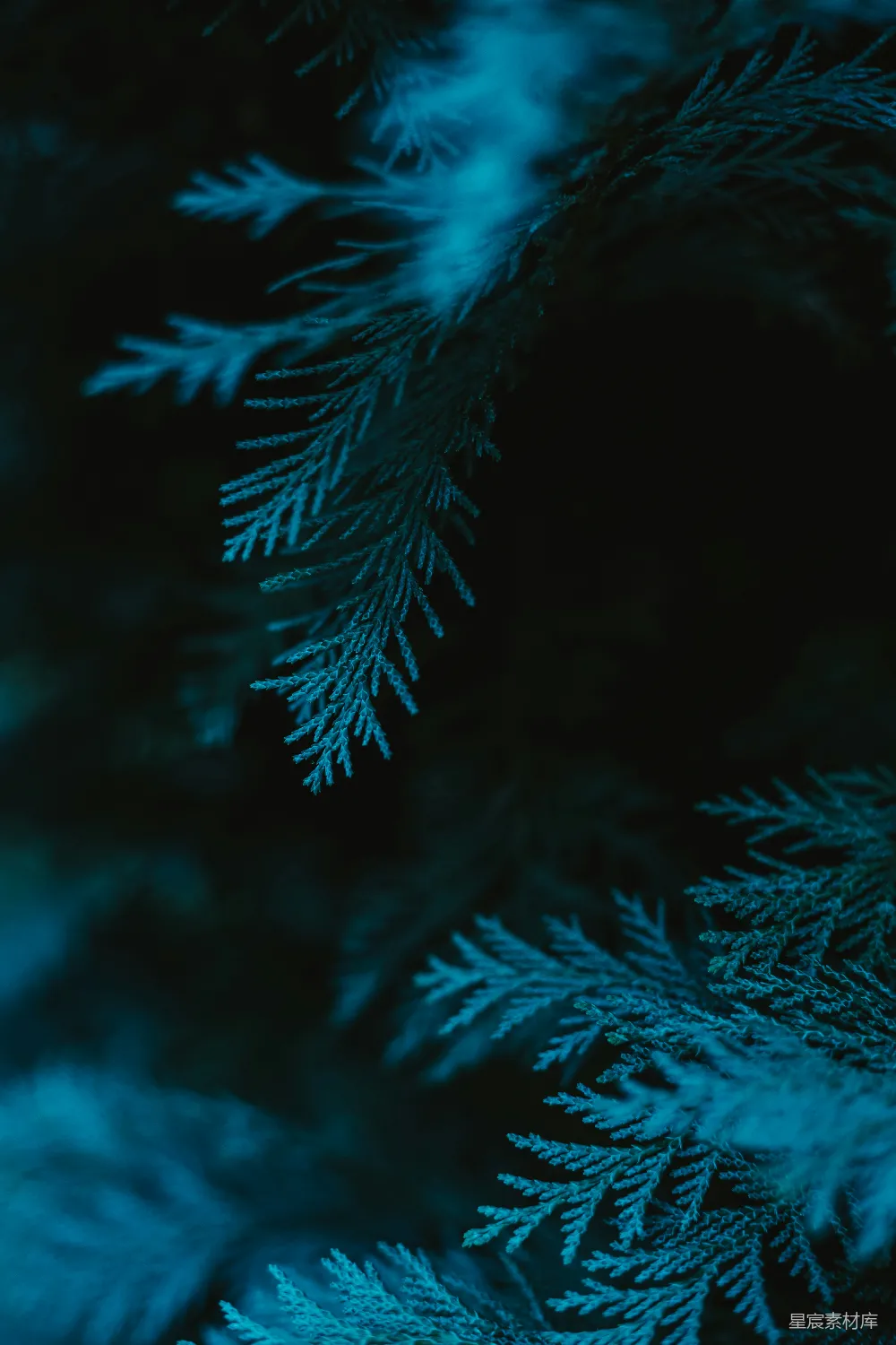 波浪的特写镜头