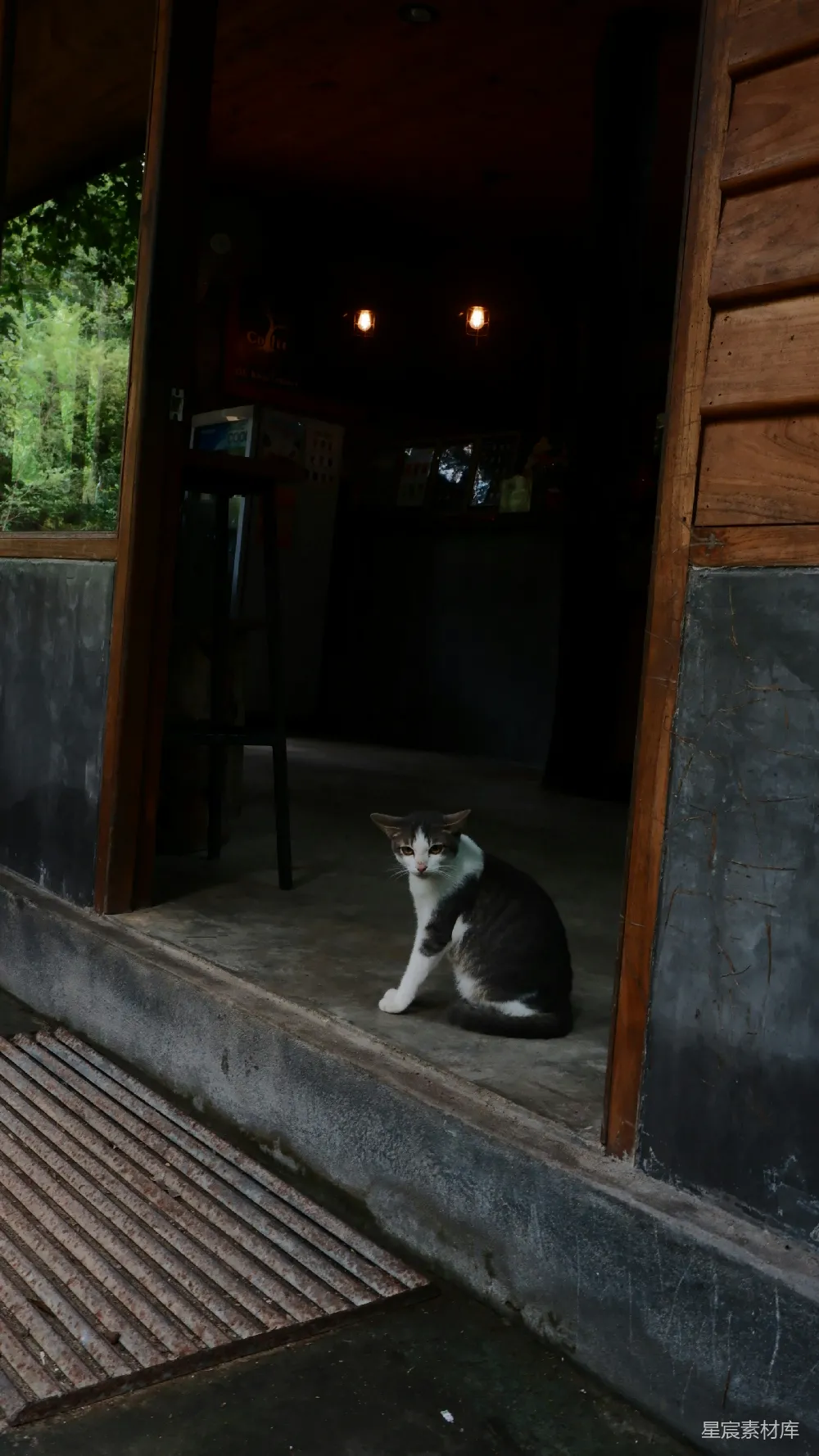 一只猫坐在门廊上，门边。