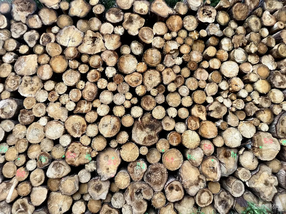 高清摄影  一堆堆叠在一起的原木
