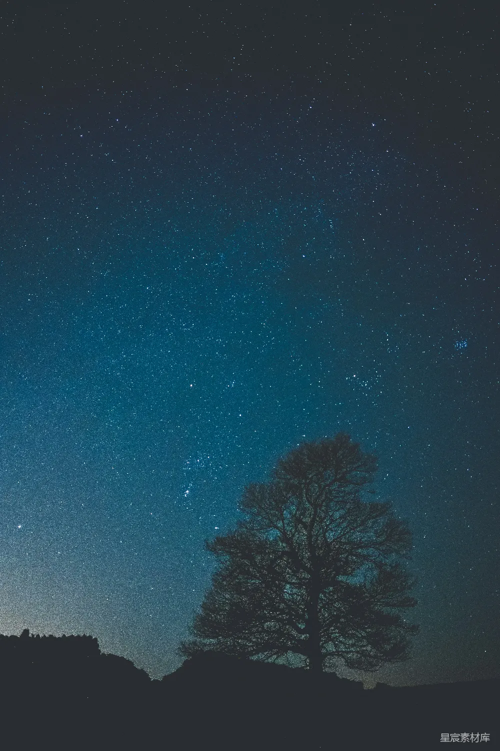 夜幕下的绿树与蓝天