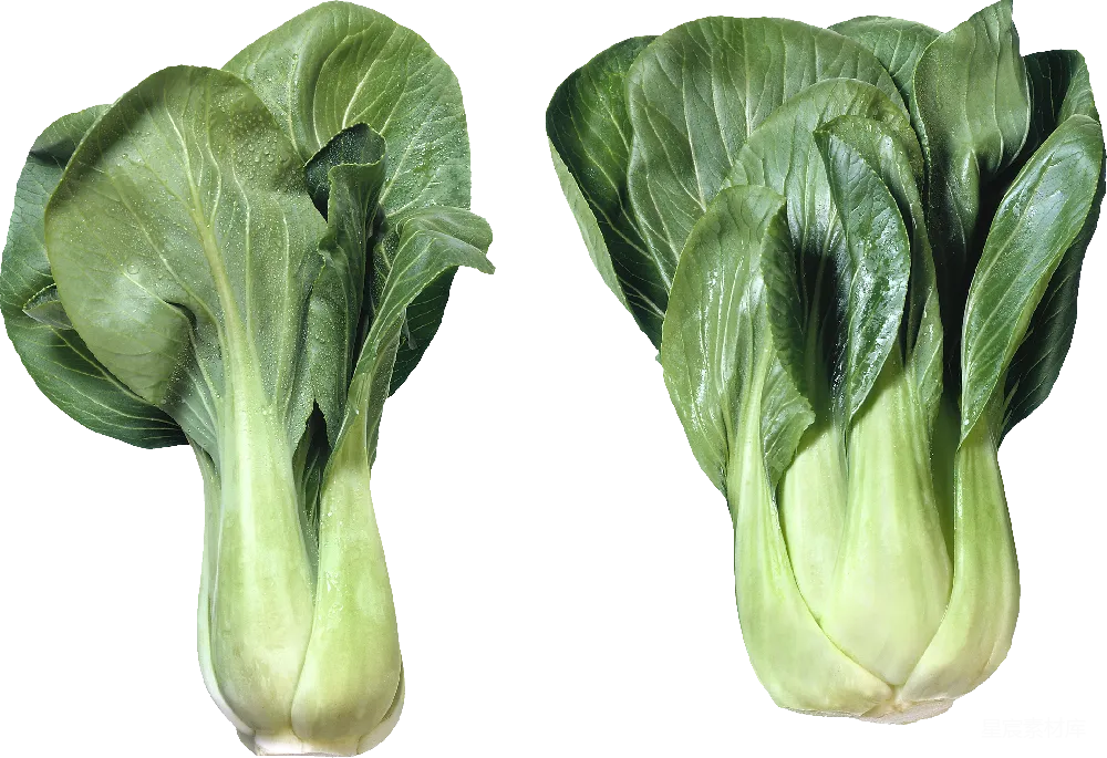元素素材 PNG