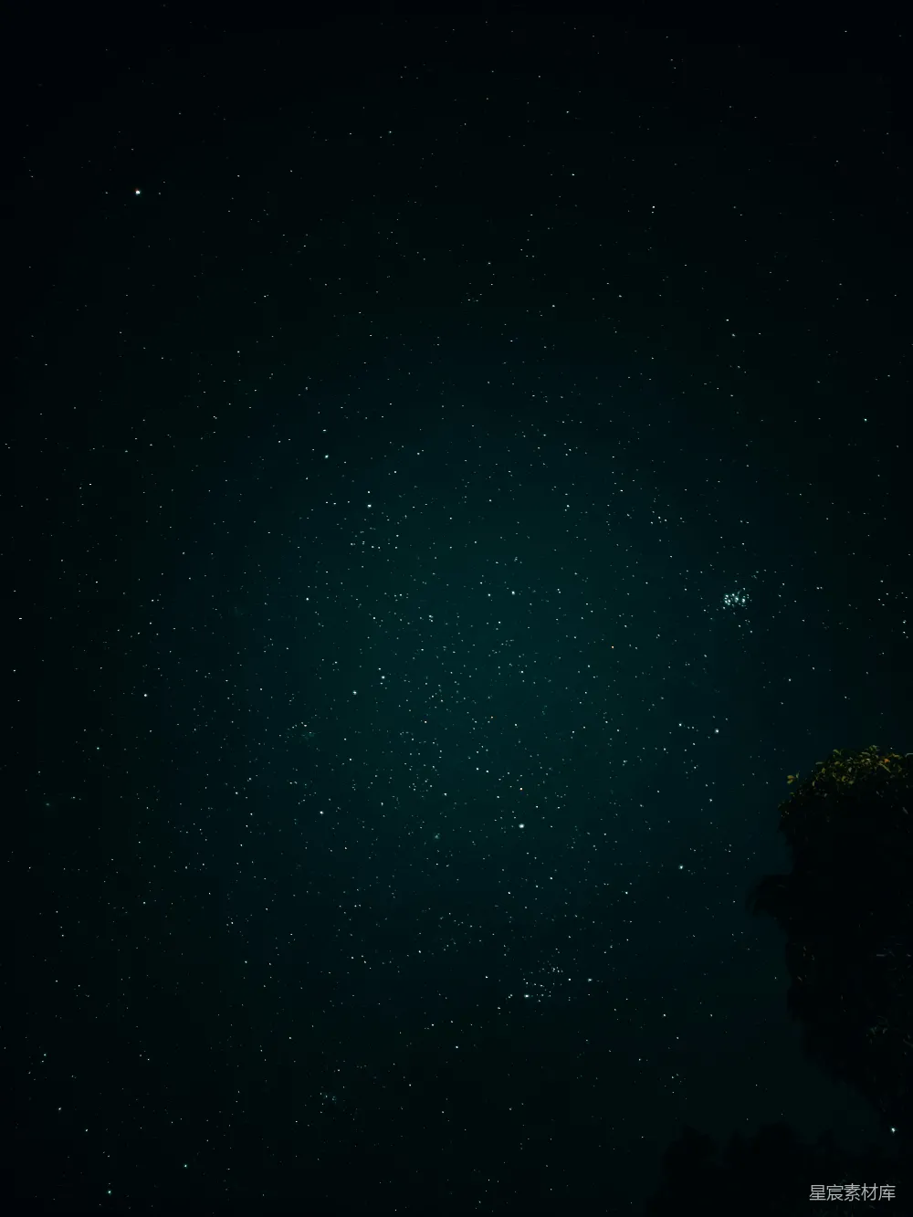 星夜下的男子 silhouette 站立