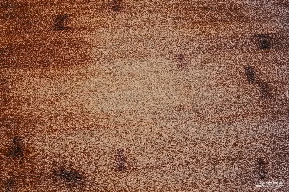 高清摄影  在棕色木质表面上的黑白昆虫