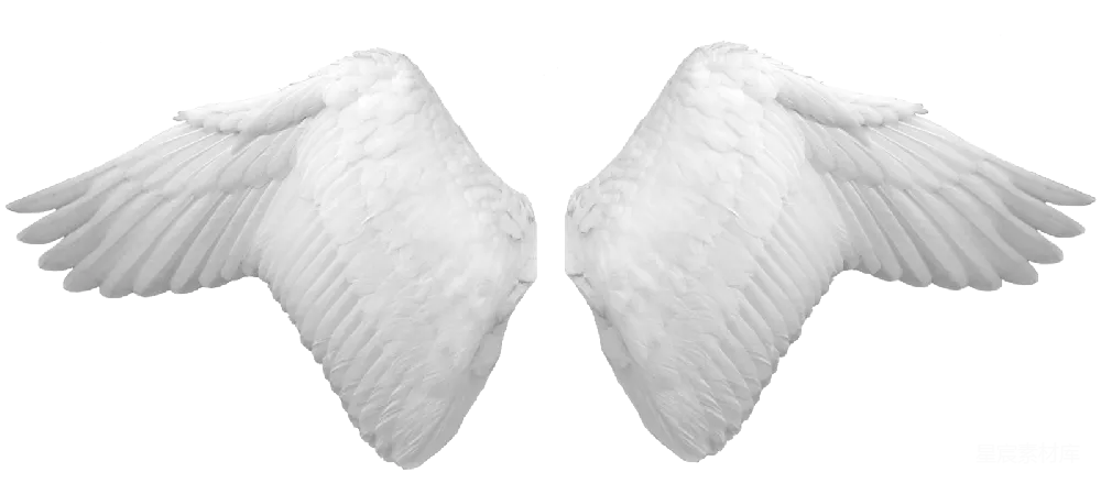 元素素材 PNG