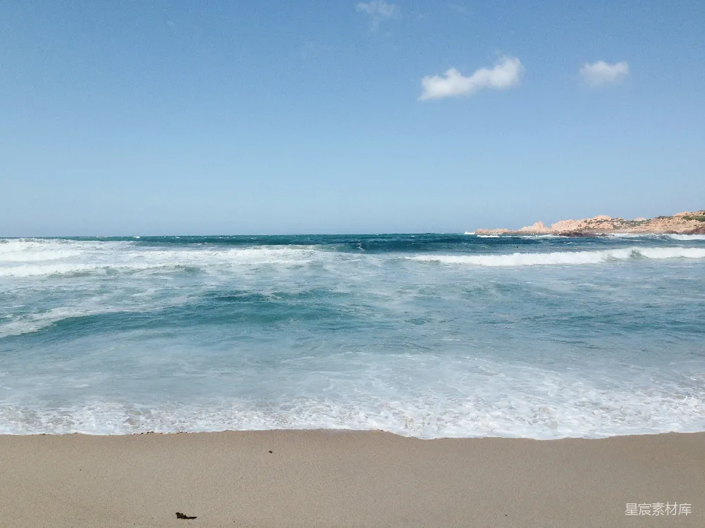 海滩上一只鸟站在海边靠近海洋处