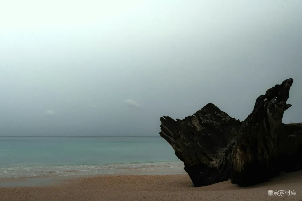 高清摄影  沙滩上的浮木，海面平静。
