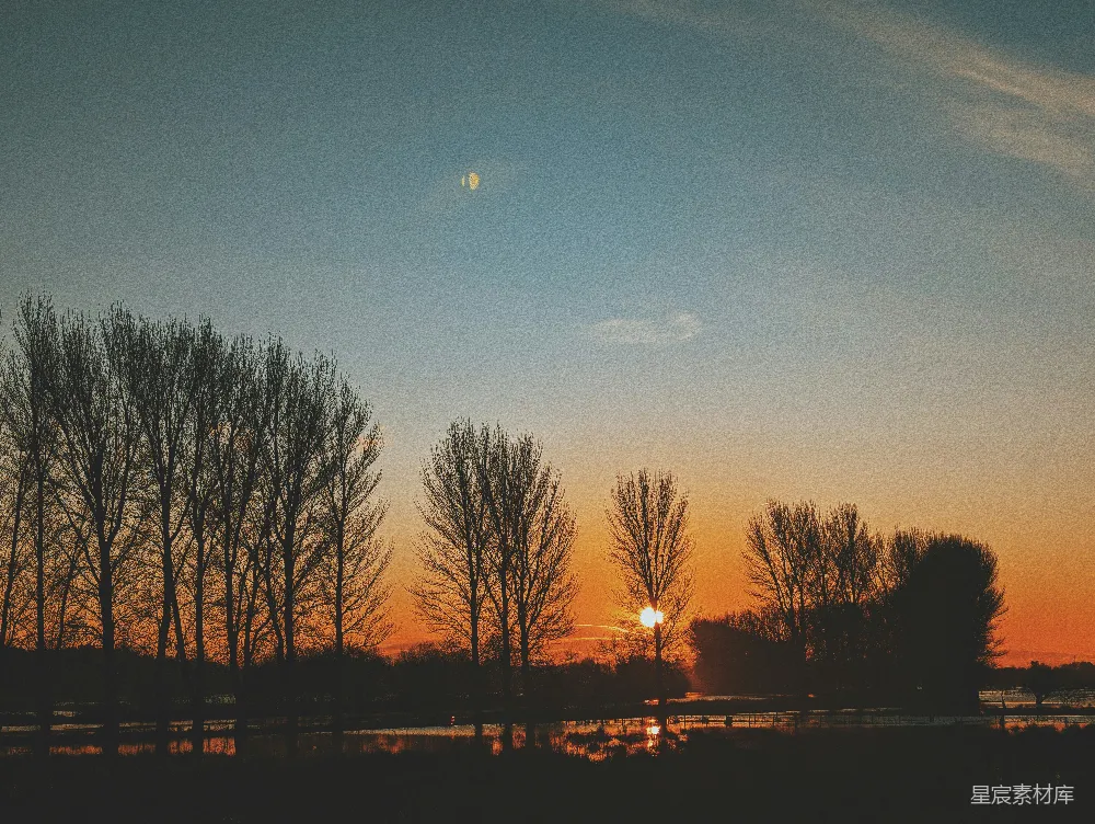 夕阳落在一些树后。