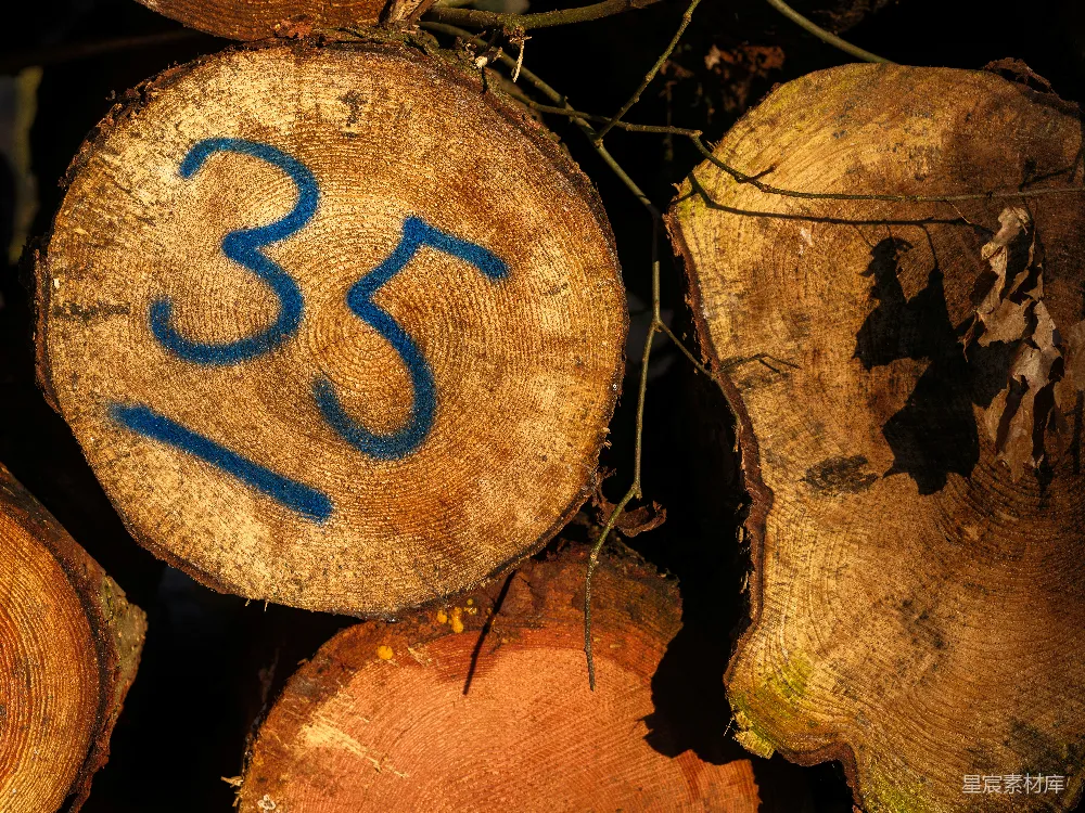 高清摄影 自然 一堆写着数字33的木头。