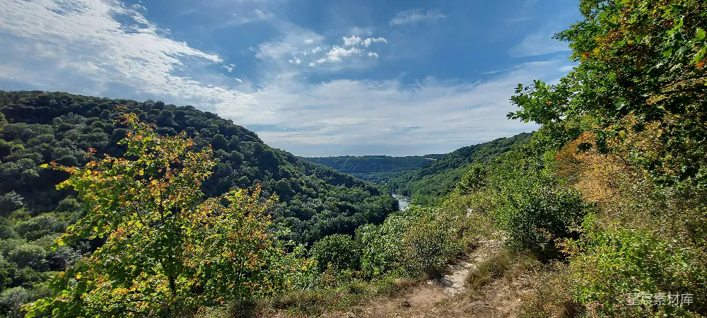 高清摄影  一片树木和灌木丛的风景