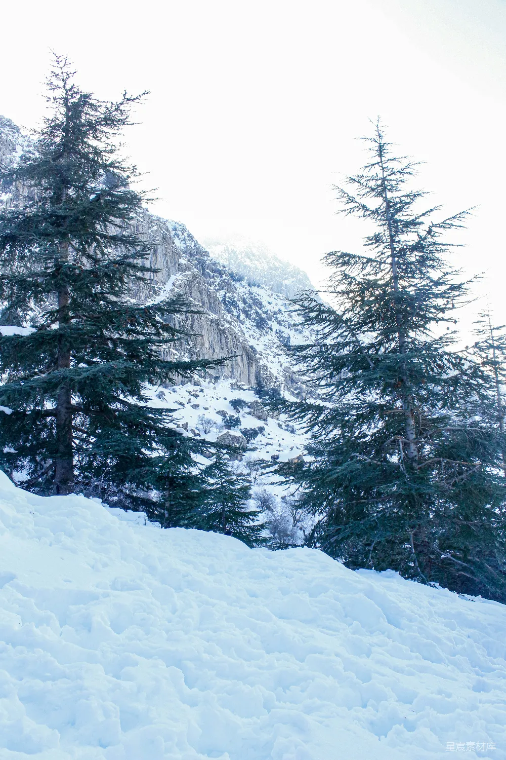 一个男子骑着雪板滑下覆盖着积雪的山坡。