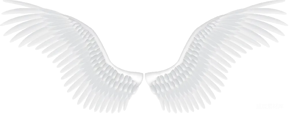 元素素材 PNG