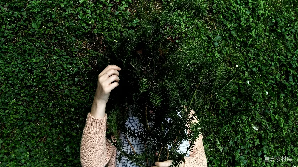 高清摄影  隐藏在绿叶植物后面的人