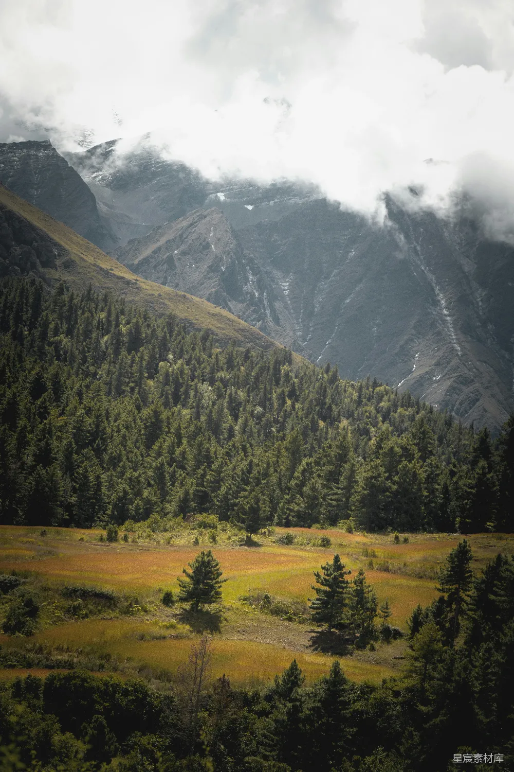 高清摄影  山谷中有树木和山峰在背景中