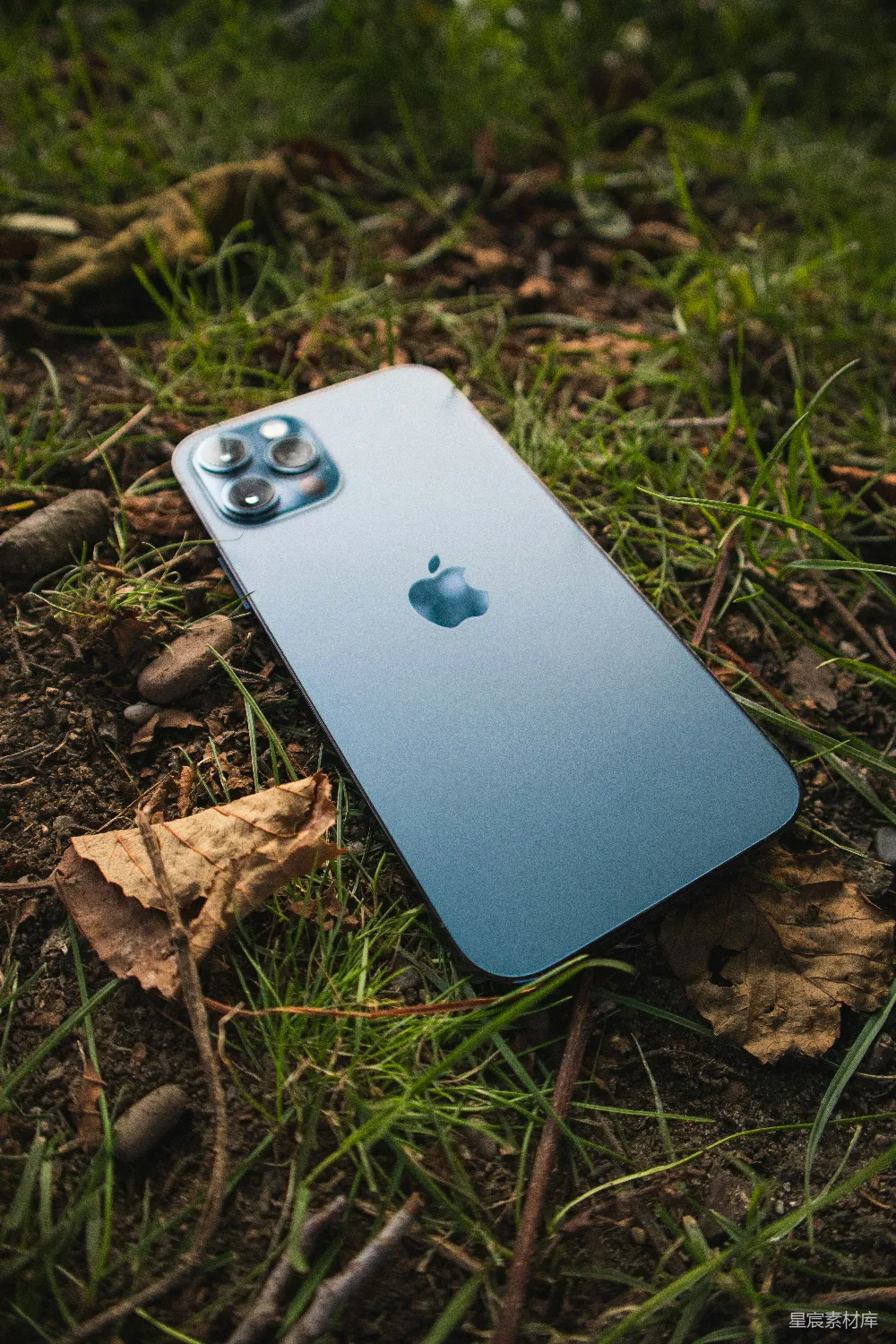 白色iPhone 4置于棕色干树叶上