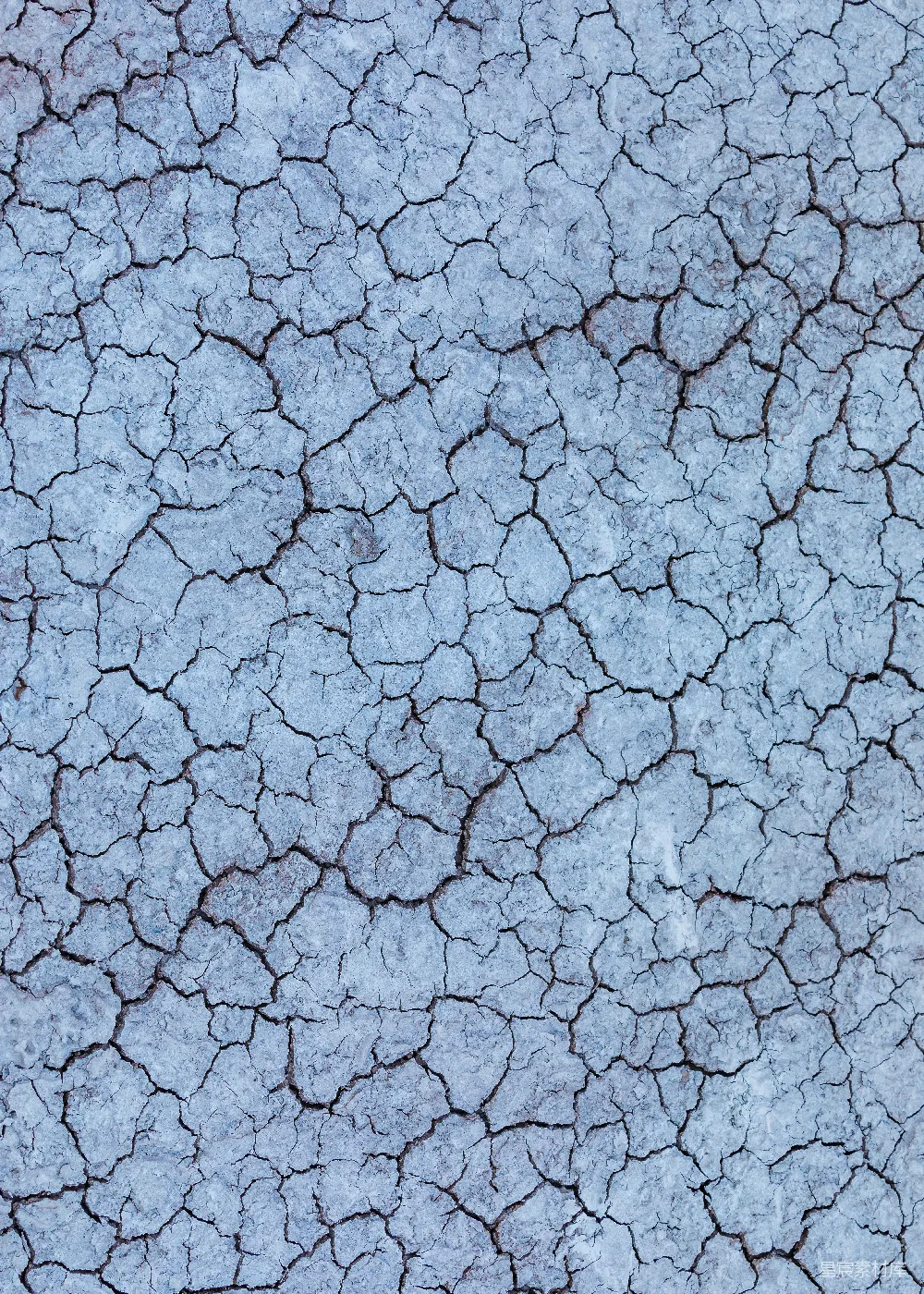 高清摄影  白色和蓝色抽象画