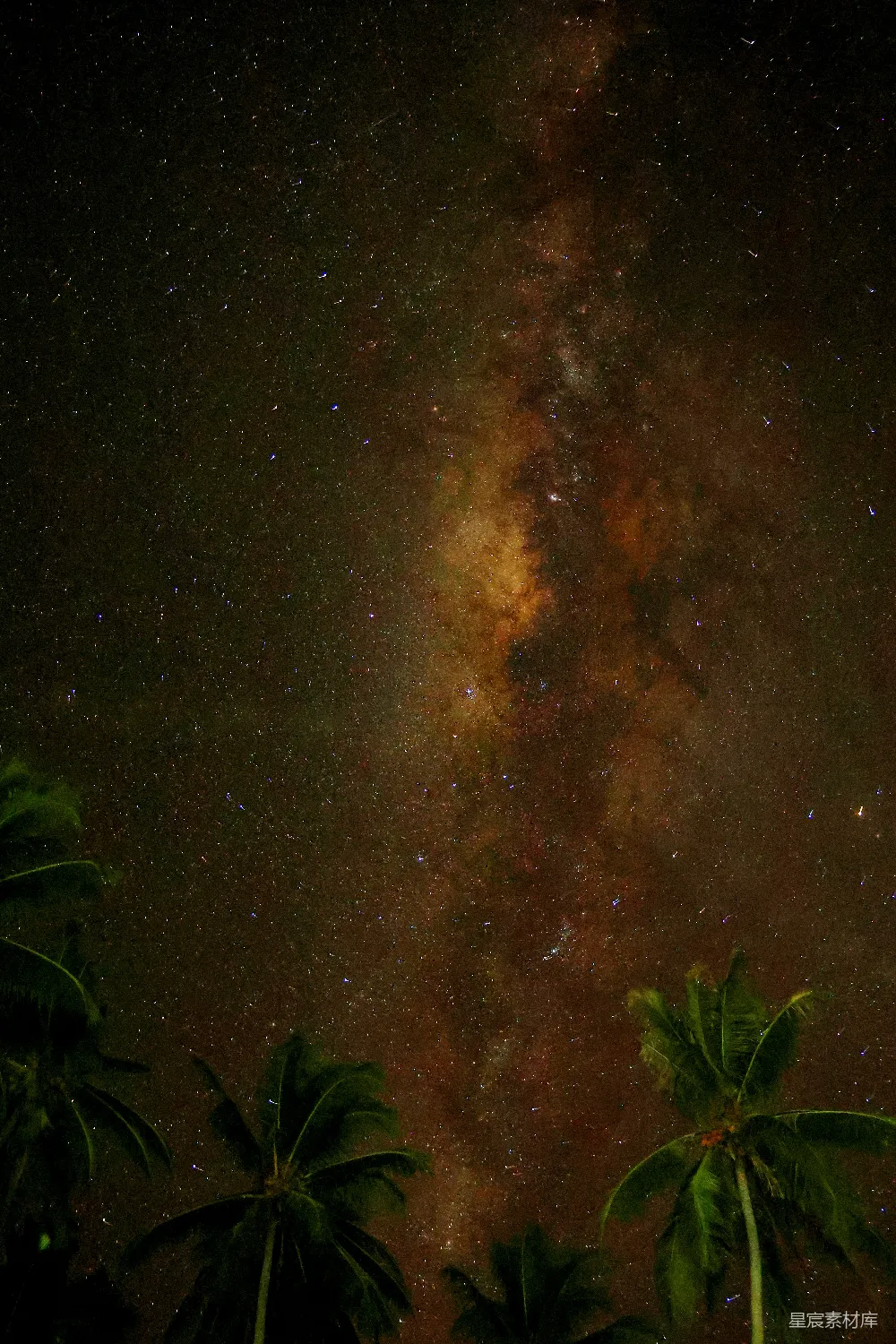 夜幕下的银河galaxy映衬在棕榈树上