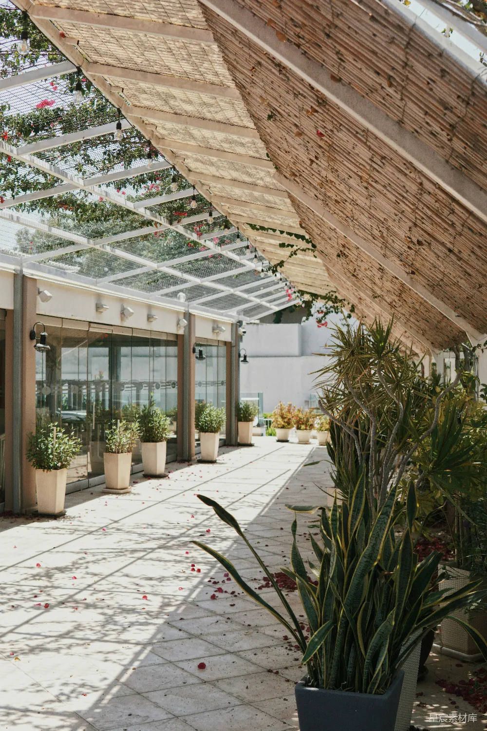 充满植物的建筑物