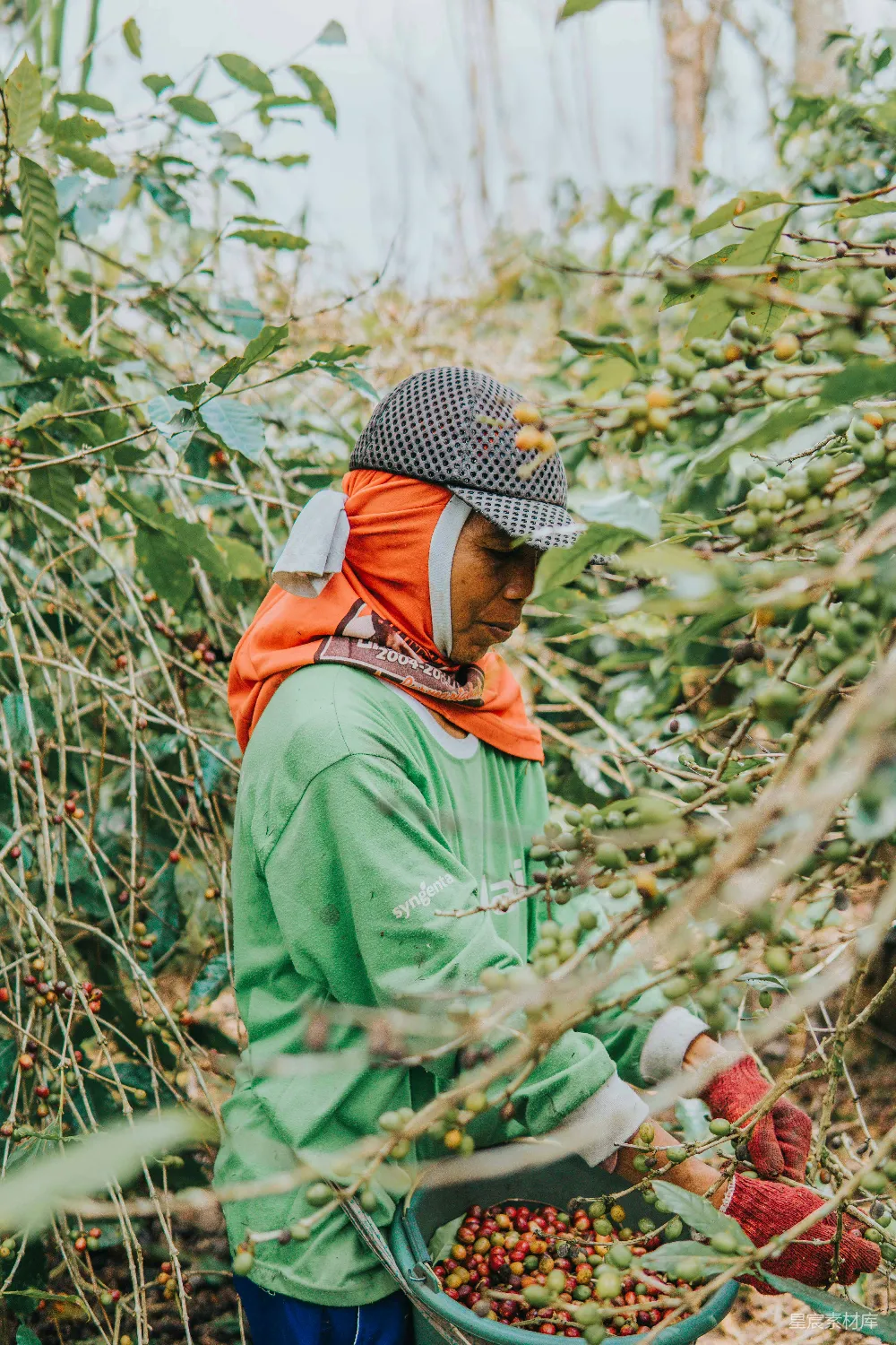 绿夹克的女人在白天站在近处的绿色植物旁