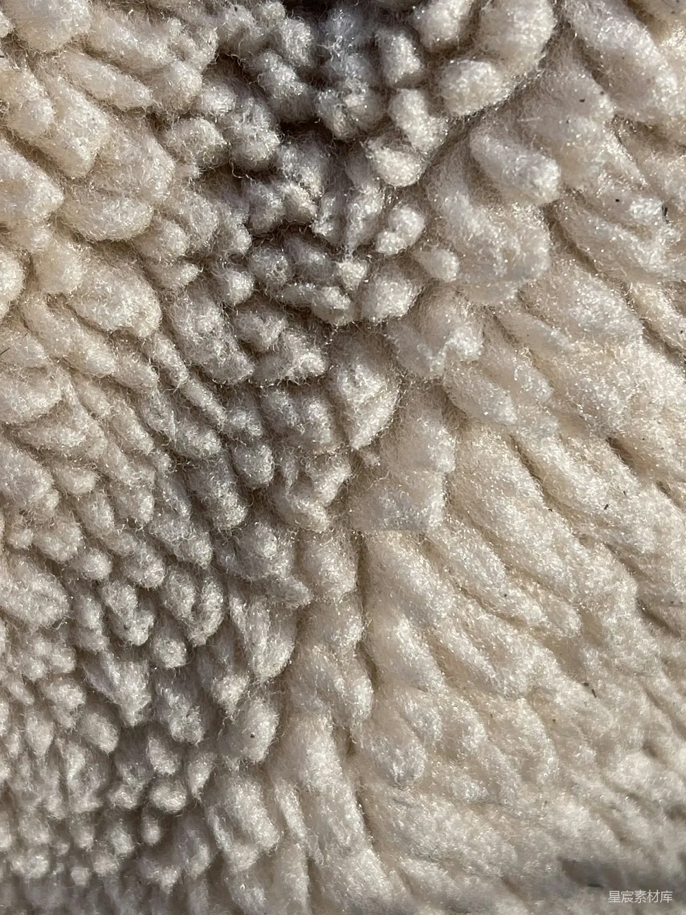 高清摄影 壁纸 一只羊的羊毛的特写视图