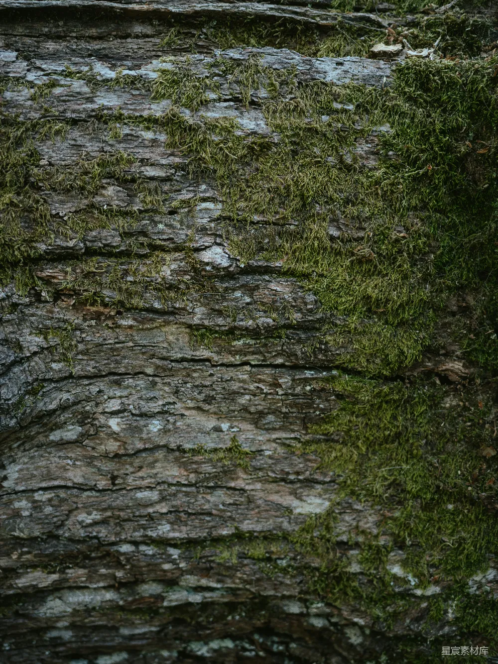 高清摄影  一条流水，周围有岩石和植物。