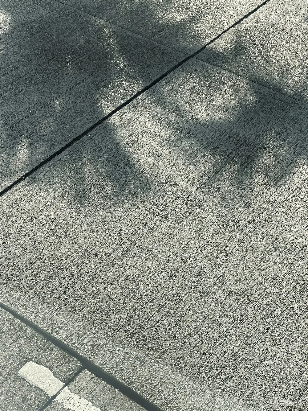 高清摄影  一个在城市街道上滑滑板的人