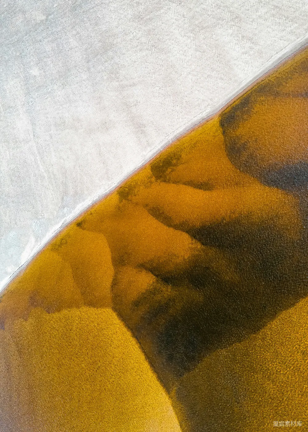 高清摄影 壁纸 自然 实验性 黄色和白色花卉图案的纺织品