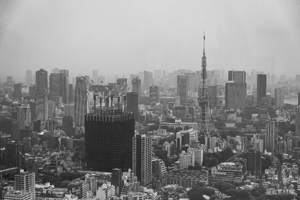 城市建筑的灰度照片