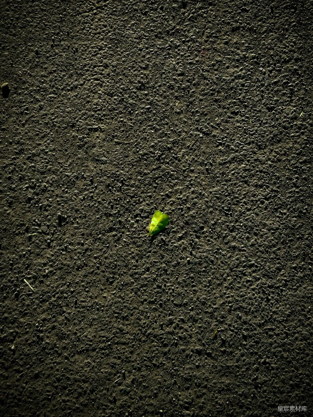 高清摄影  地上有一个绿色的小物件。