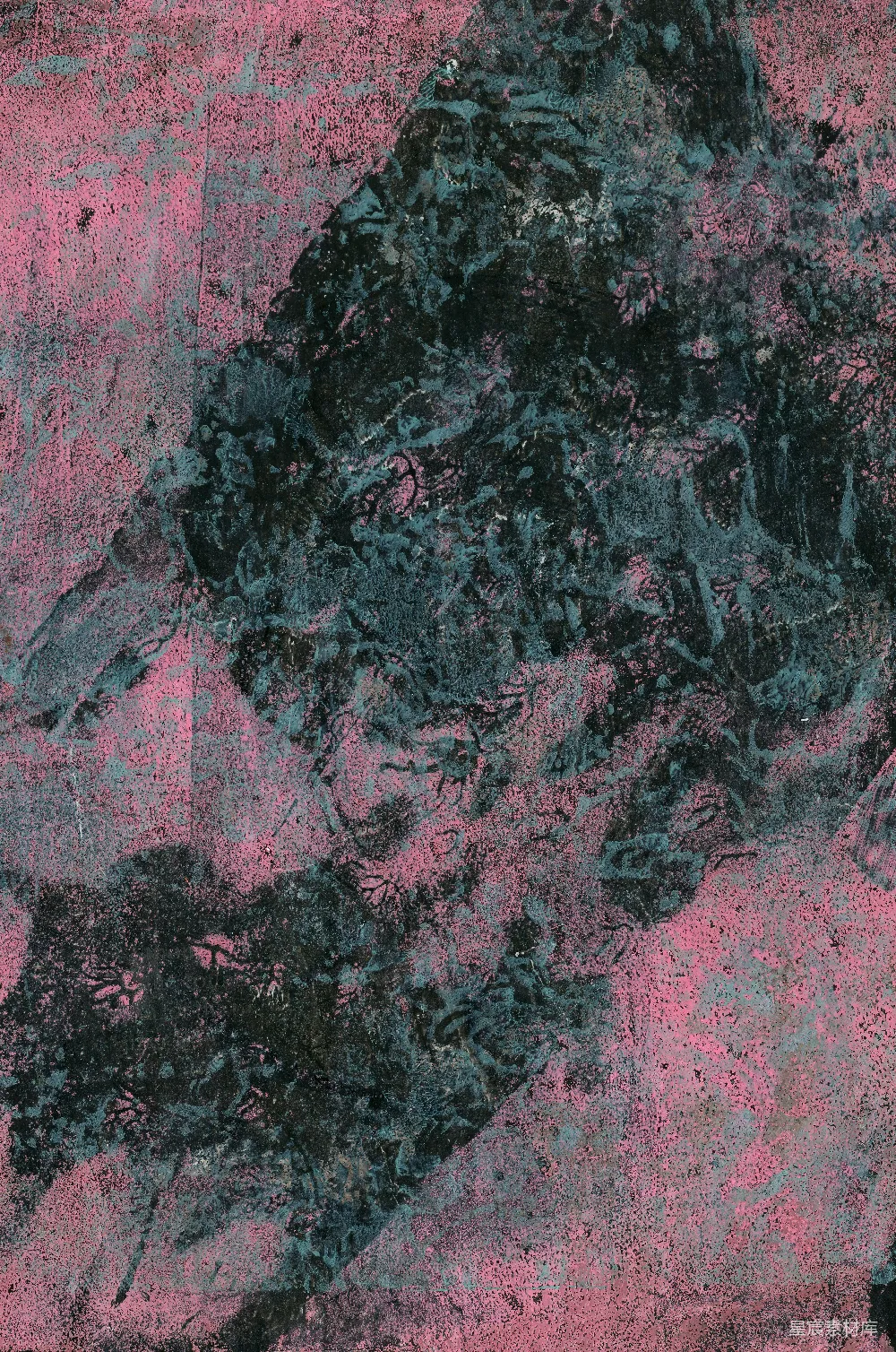 BLACKPINK 独版画