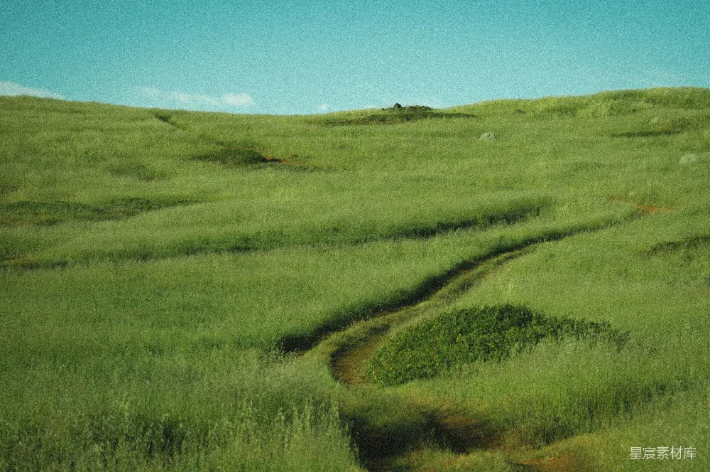 一片草地上有一条泥土小径穿过它