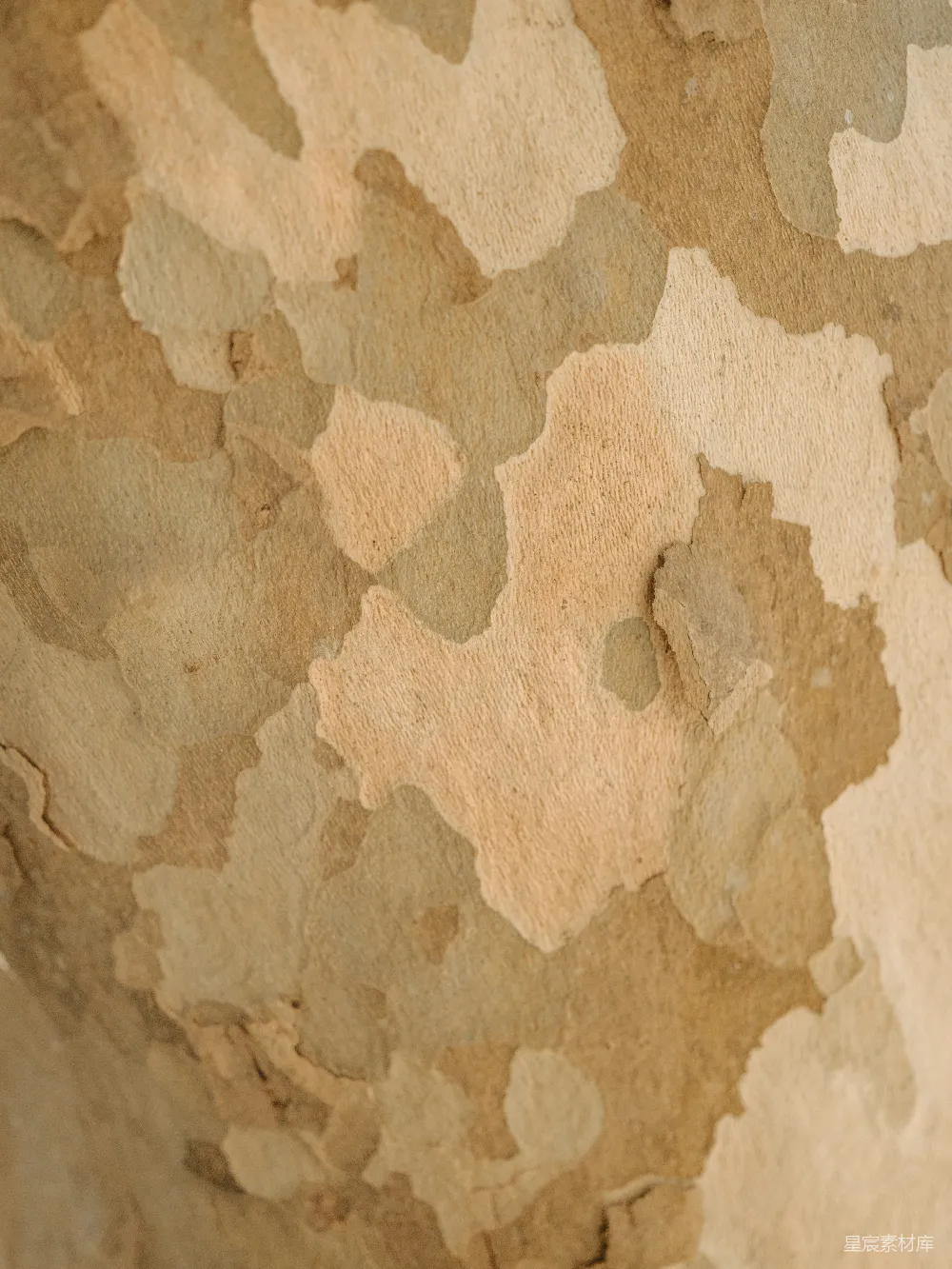 高清摄影 自然 壁纸 一张带有图案的墙的特写照片。