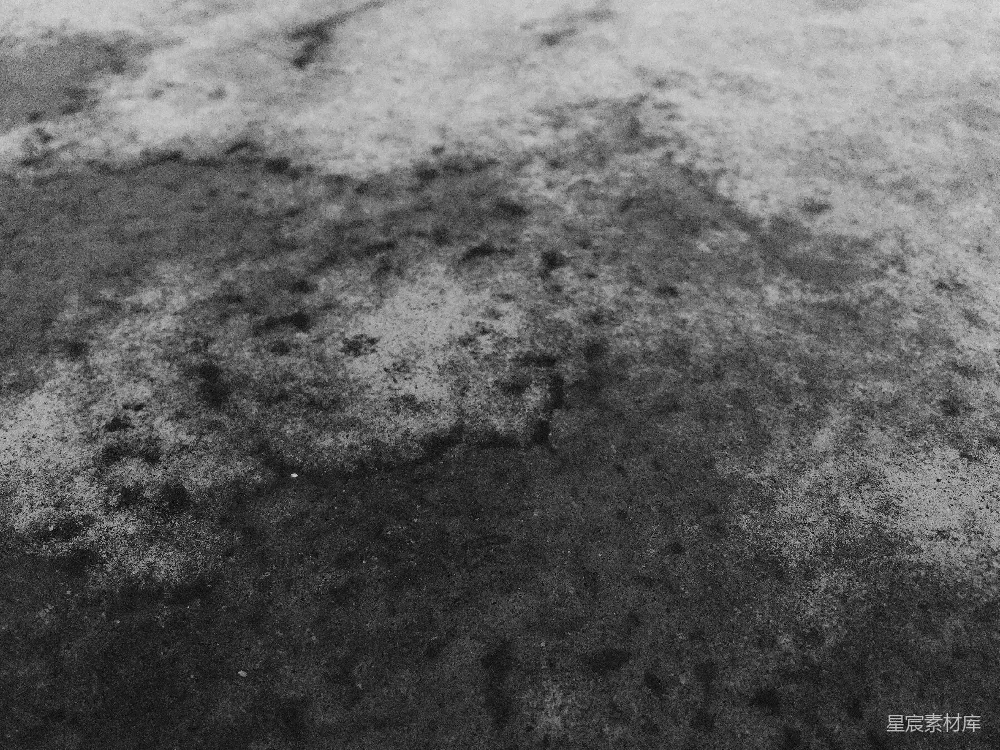 高清摄影  一张黑白照片，地上覆盖着雪。