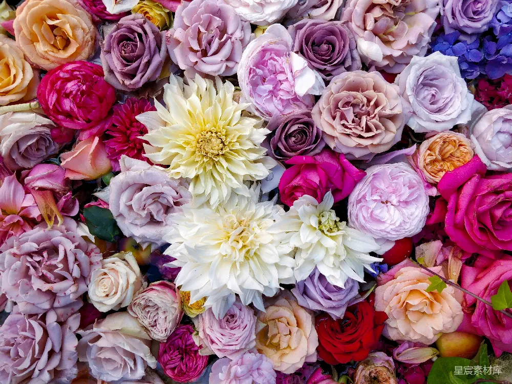 各种花朵组成的花束