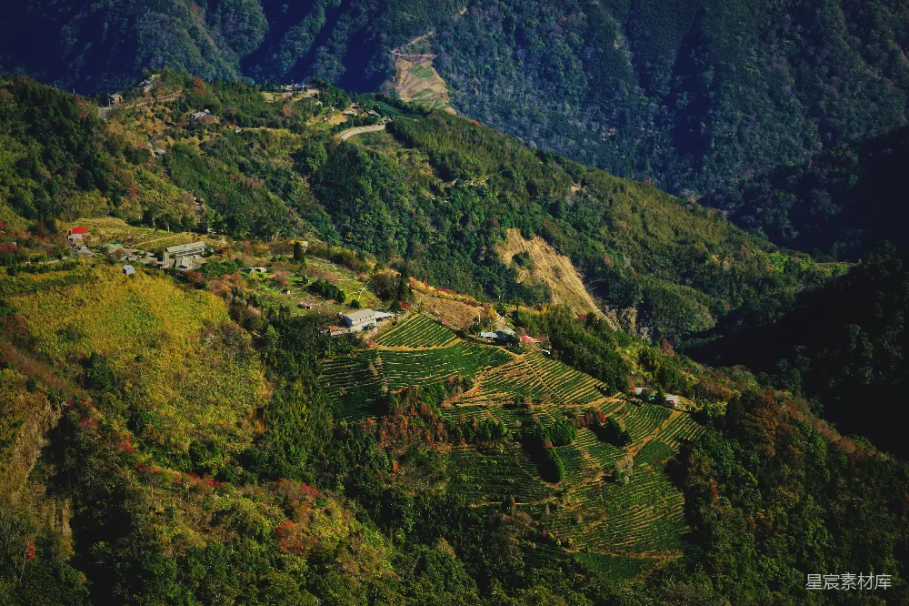 一幅郁郁葱葱山坡的美景
